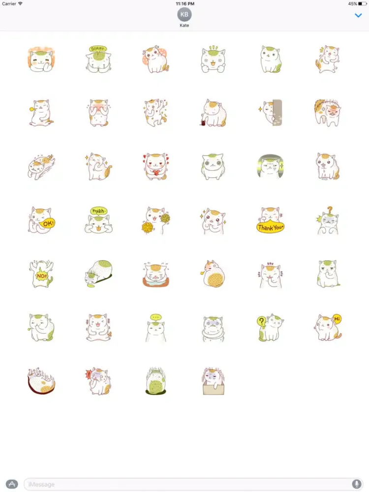 Kokoro the Cat iPad  Screenshots