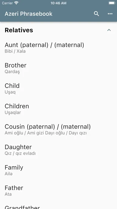 Azeri Phrasebook应用截图