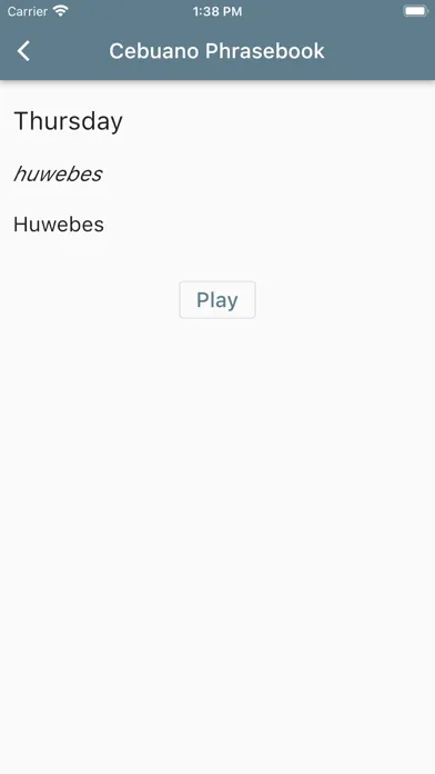 Скриншоты Cebuano Phrasebook
