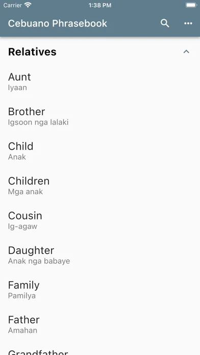 Скриншоты Cebuano Phrasebook