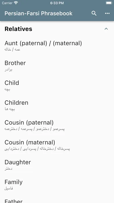 Persian-Farsi Phrasebook سکرین شاٹس