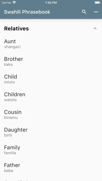 Swahili Basic Phrases 스크린샷