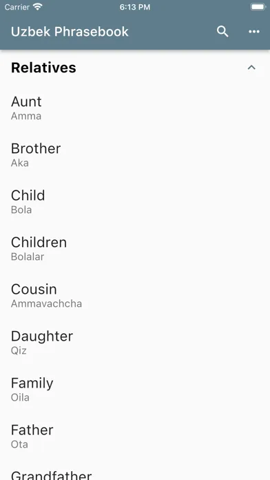 Uzbek Phrasebook应用截图