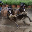 Riding and Harness Stuff Riding and Harness Stuff