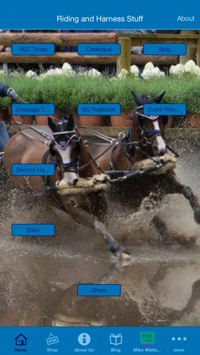 صور Riding and Harness Stuff
