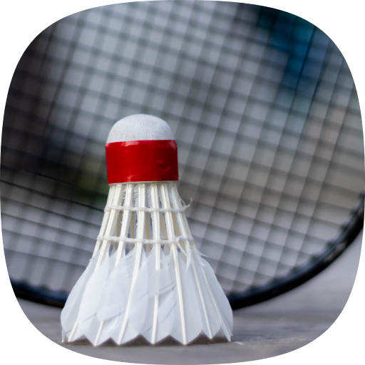 Badminton 2D Badminton 2D
