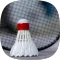 Badminton 2D
