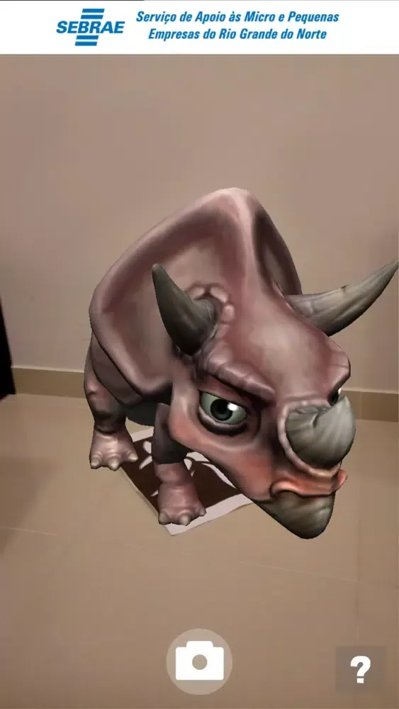 Capturas de tela do Sebrae RN