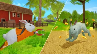 صور Cute Rabbit Family Adventure