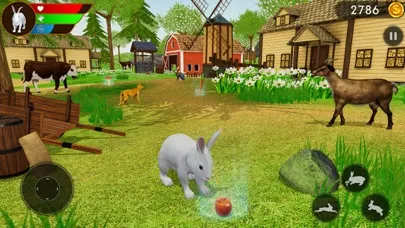 صور Cute Rabbit Family Adventure