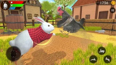 صور Cute Rabbit Family Adventure
