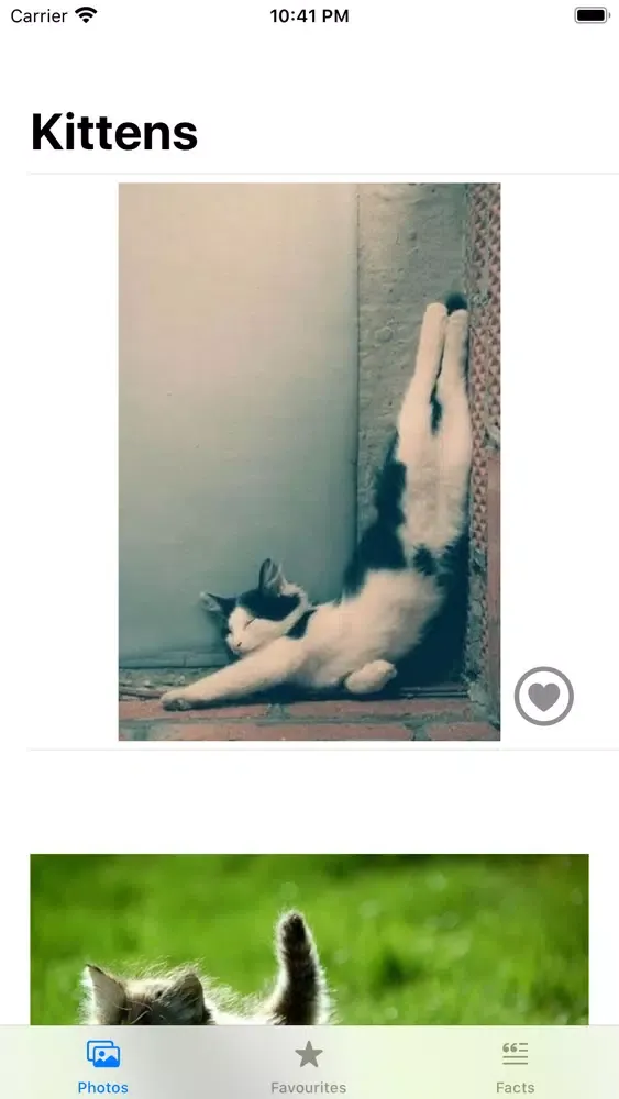 Скриншоты My Cute Kittens