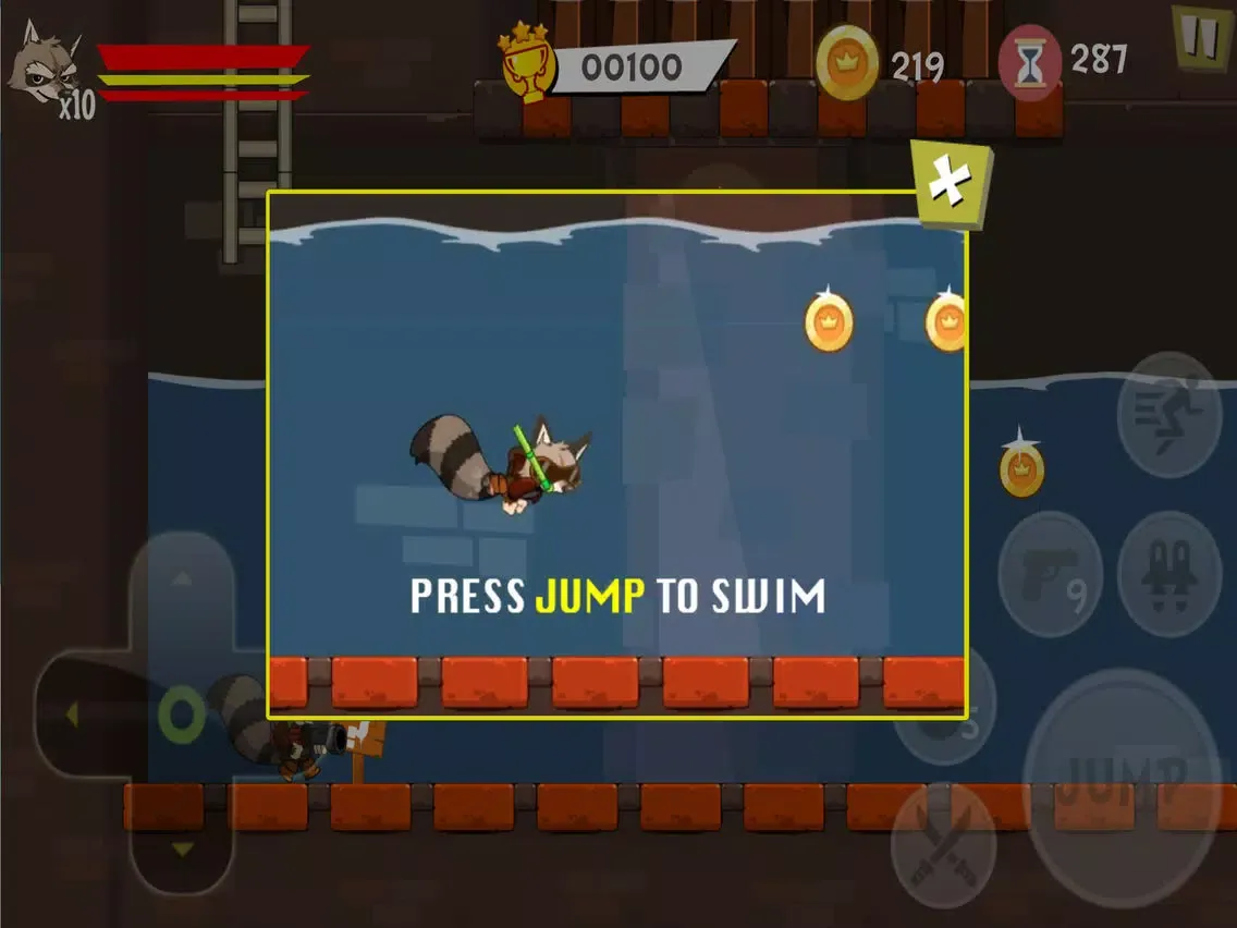 Raccoon Soldier iPad 应用截图