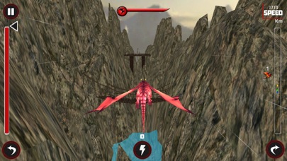 Race Of Flying Dragon سکرین شاٹس