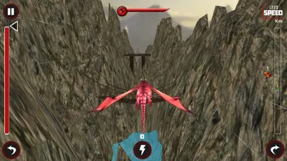 Race Of Flying Dragon應用截圖