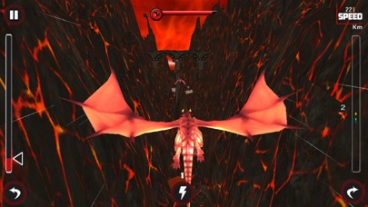 Race Of Flying Dragon سکرین شاٹس
