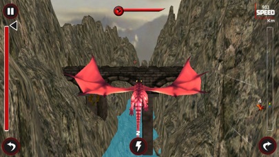 Race Of Flying Dragon سکرین شاٹس