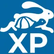 Race Entry Experience