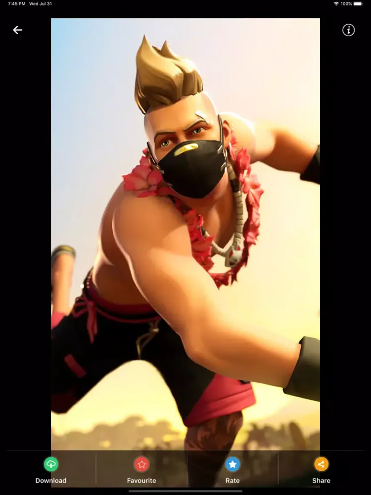 HD Wallpapers for Fortnite iPad  Screenshots