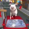 Crazy Piggies 3d Simulator games