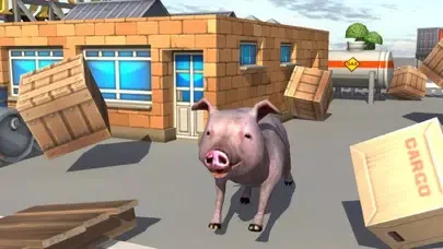 تصاویر Crazy Piggies 3d Simulator games