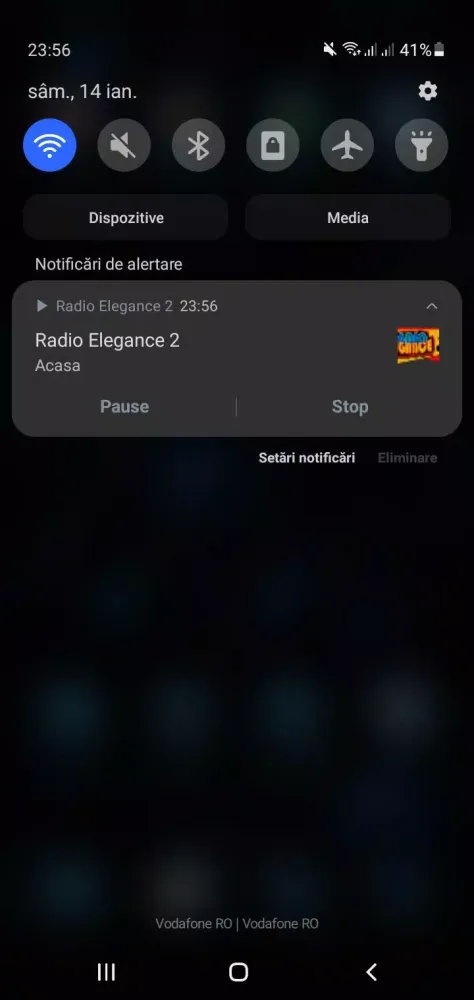 Capturas de tela do Radio Elegance 2
