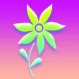 Magic Little Flowers