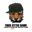 Tiger Fitted Radio 1