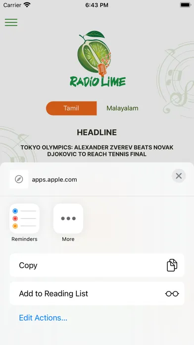 Скриншоты Radio Lime