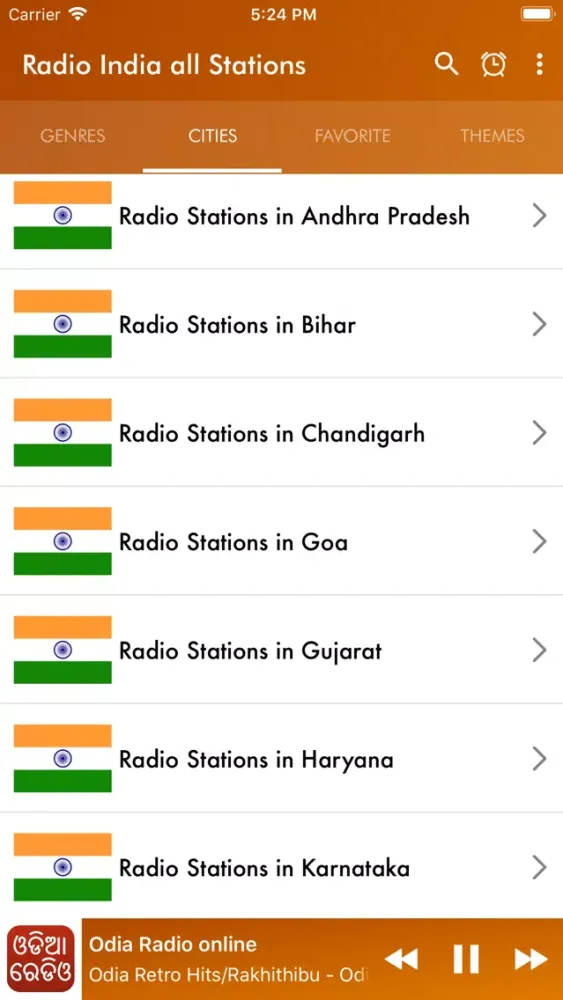 Capturas de pantalla de Radio India all Stations