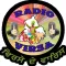 Radio Virsa