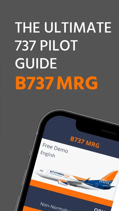 B737 MRG 스크린샷