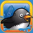 Splashy Penguin Splashy Penguin