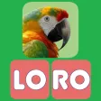 Leer las sílabas