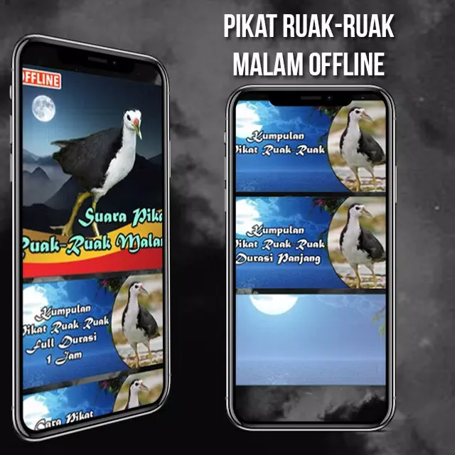 Pikat Ruak Ruak Malam Offline Screenshots