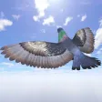 Pigeon Games Flight Simulator Pigeon Games Flight Simulator