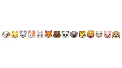 Text Full Screen应用截图
