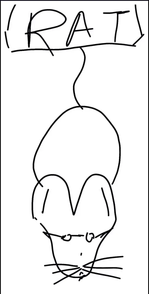 تصاویر Scribble & Guess