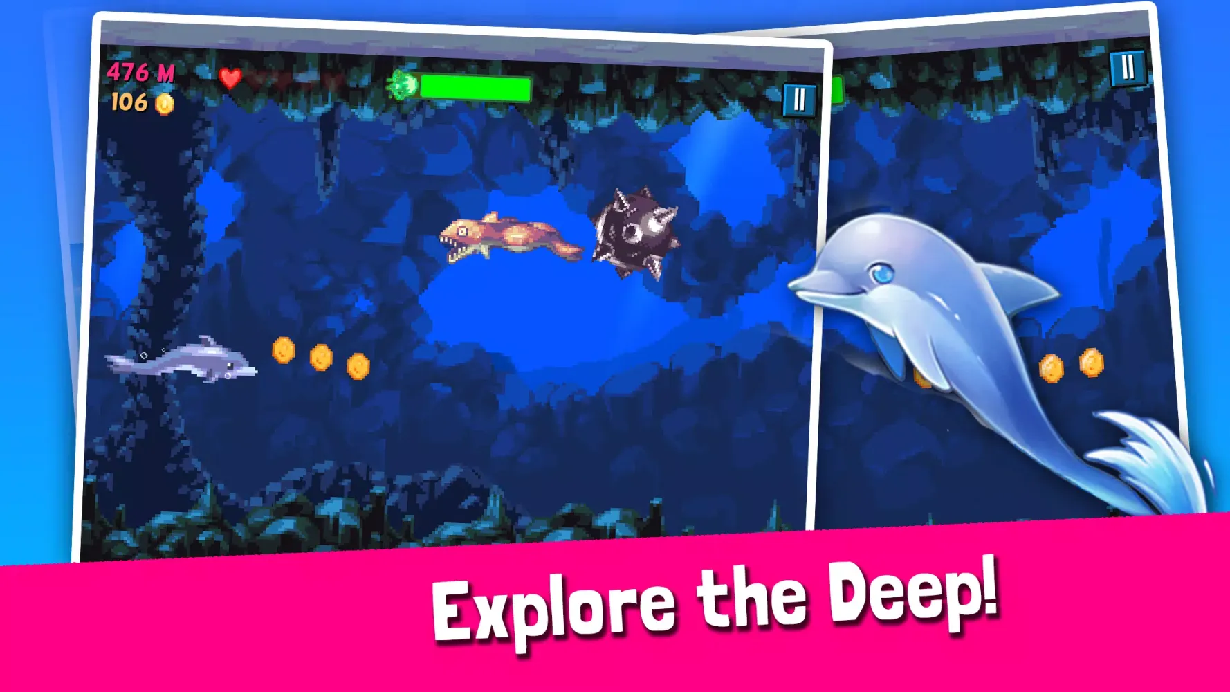 تصاویر Rainbirth Dolphin Show Infinit