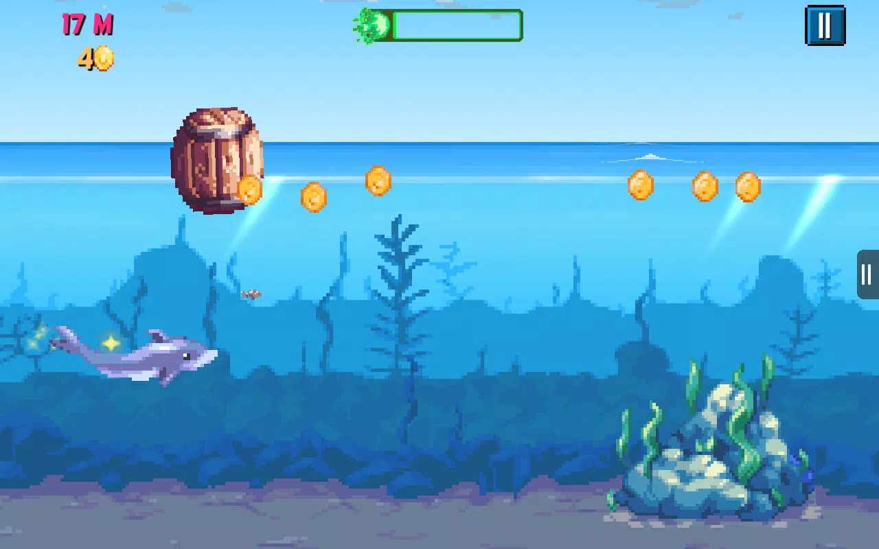Rainbirth Dolphin Show Infinit Screenshots