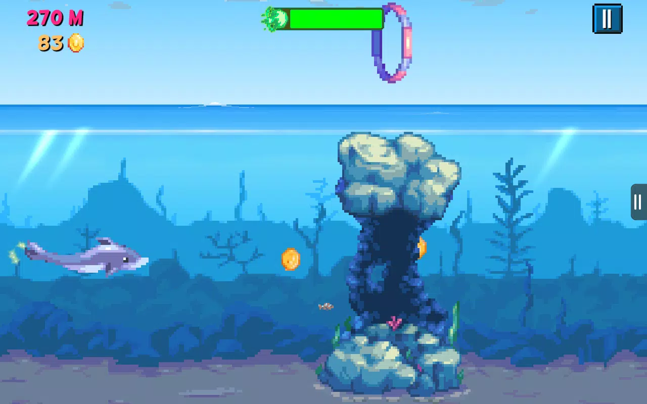 Rainbirth Dolphin Show Infinit Screenshots