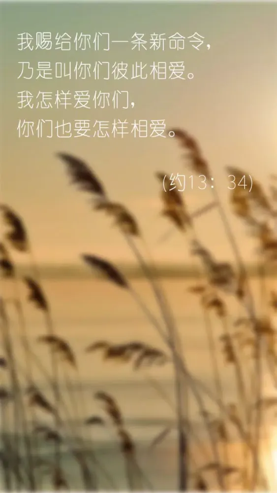 圣经.旧约-音频播放应用截图