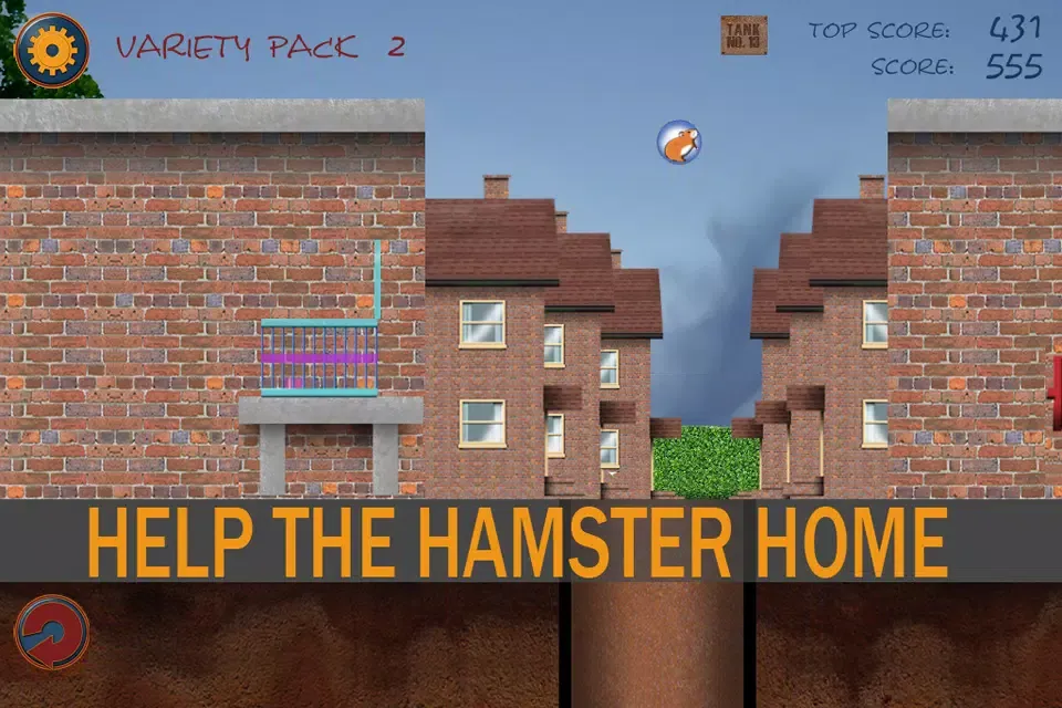 صور Pickles the Hamster Free