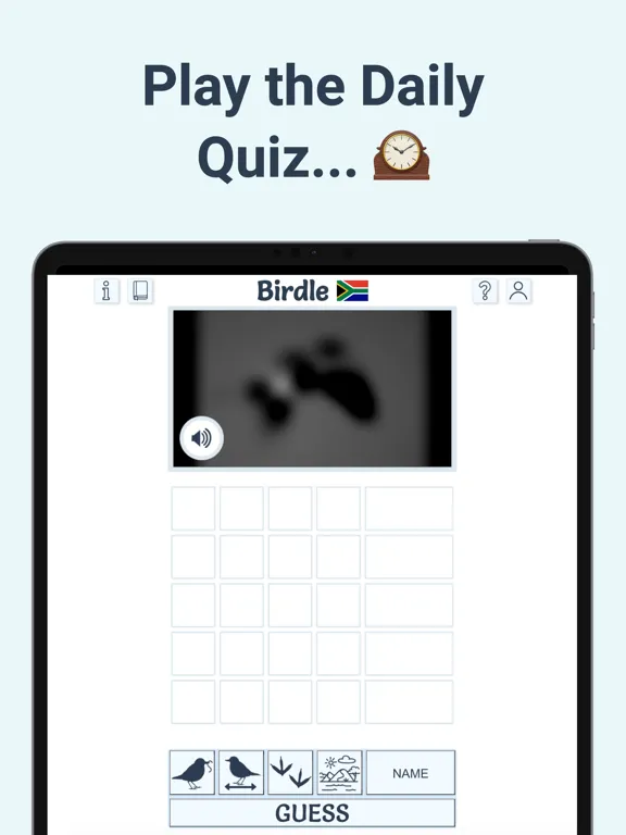 Birdle - A Daily Guessing Game iPad 应用截图