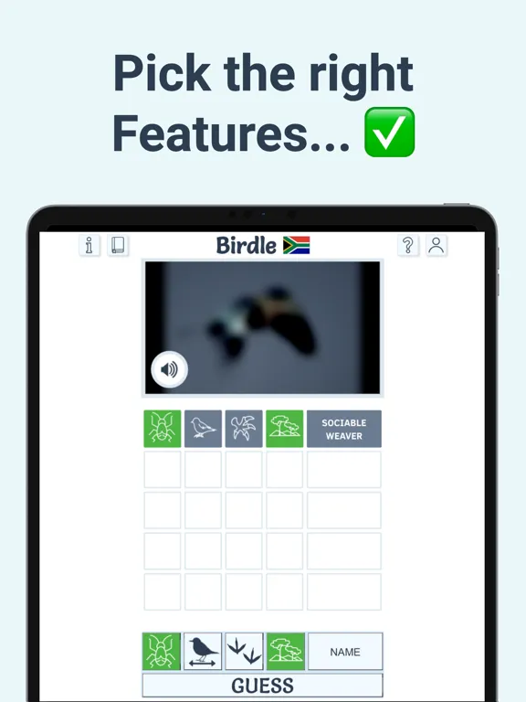 Birdle - A Daily Guessing Game iPad 应用截图