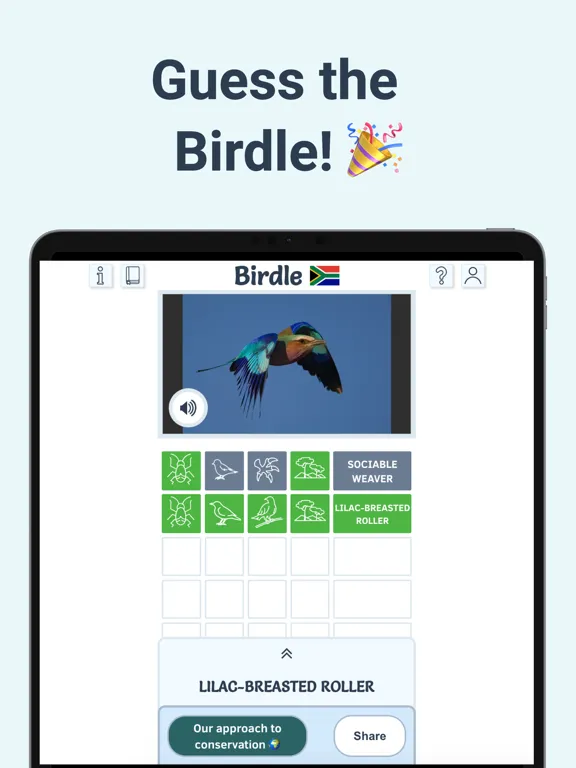 Birdle - A Daily Guessing Game iPad 应用截图