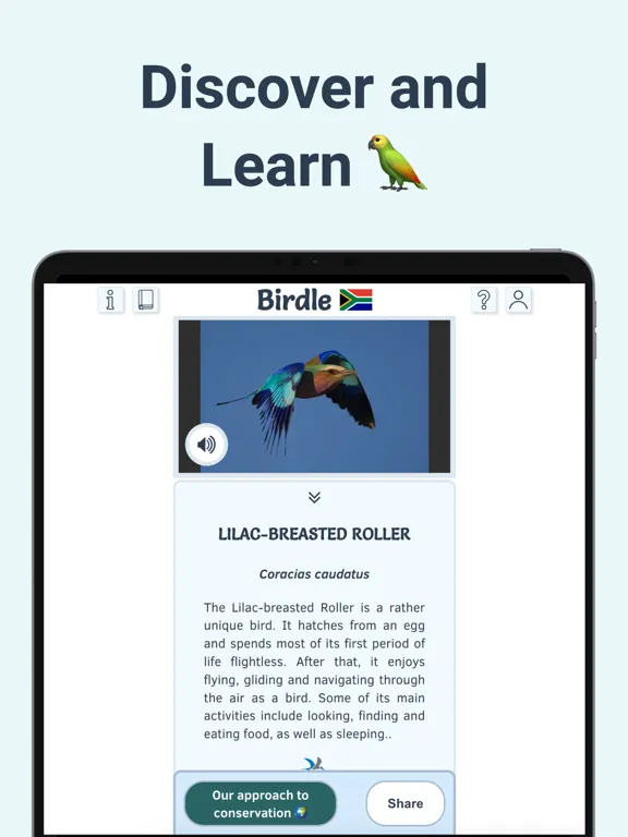 Birdle - A Daily Guessing Game iPad 应用截图
