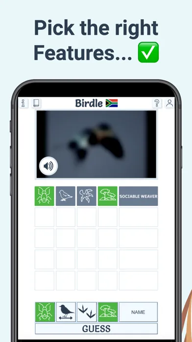 Birdle - A Daily Guessing Game应用截图