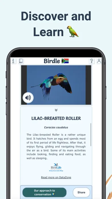 Birdle - A Daily Guessing Game应用截图