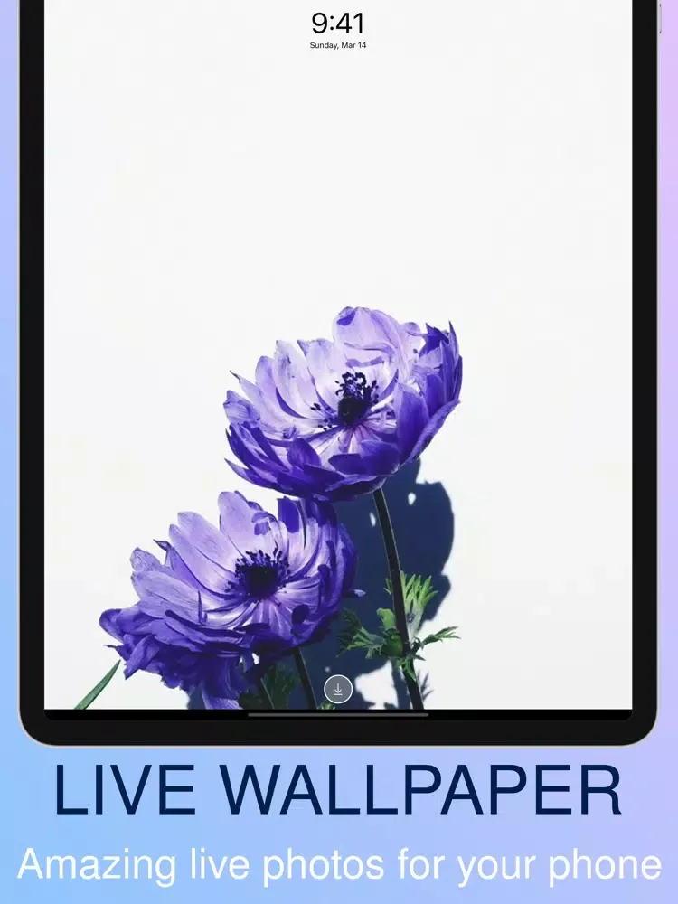 toV - live wallpapers & videos iPad  Screenshots